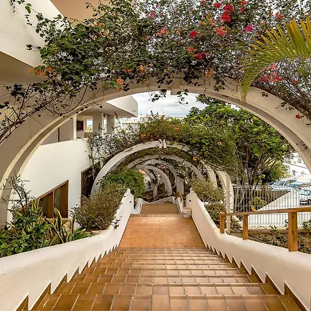 Apartment Ocean View In Park Royal I Costa Adeje (Tenerife)